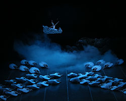 Swan Lake | The Shanghai Ballet
