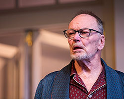 The Father | Sydney Theatre Company