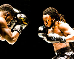 Prize Fighter | La Boite Theatre Company