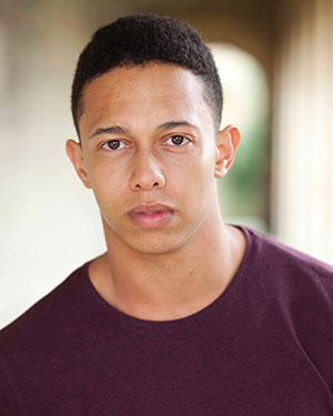 2017 Helpmann Awards