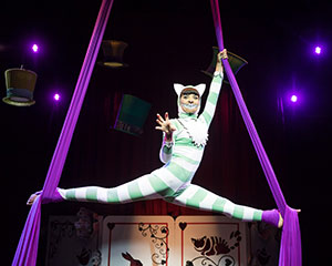 The Funatorium Mad Hatter's Tea Party