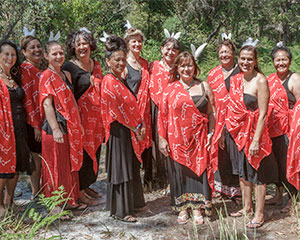 The Te Kopere Maori Healers