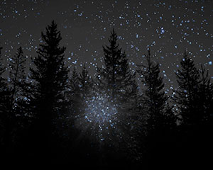 Fear | Angela Donlan