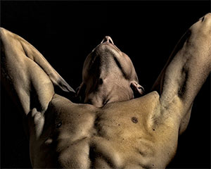 F*cking Men | New Theatre