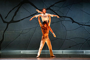 Verve | The Australian Ballet