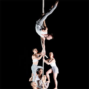 By a Thread | One Fell Swoop