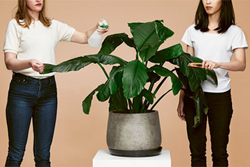 Baby Cake | Kerensa Diball and Yuhui Ng-Rodriguez