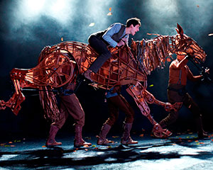 War Horse