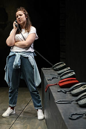 Fully Committed | Ensemble Theatre