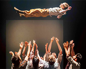 Grand Finale | Hofesh Schecter Company