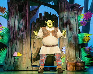 Shrek the Musical