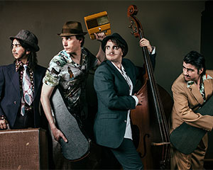 The Top Secret Violin Case