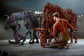 War Horse
