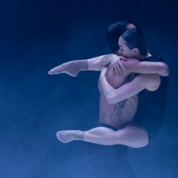 Ab [intra] | Sydney Dance Cmpany