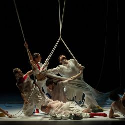 The Shell, A Ghost, The Host & The Lyrebird