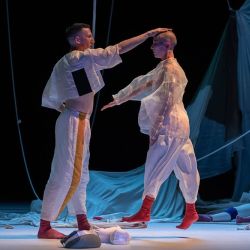 The Shell, A Ghost, The Host & The Lyrebird